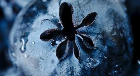 Les antioxydants dans l’alimentation