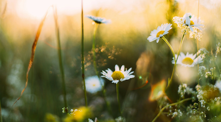 5 gestes vitalité et motivation pour le printemps