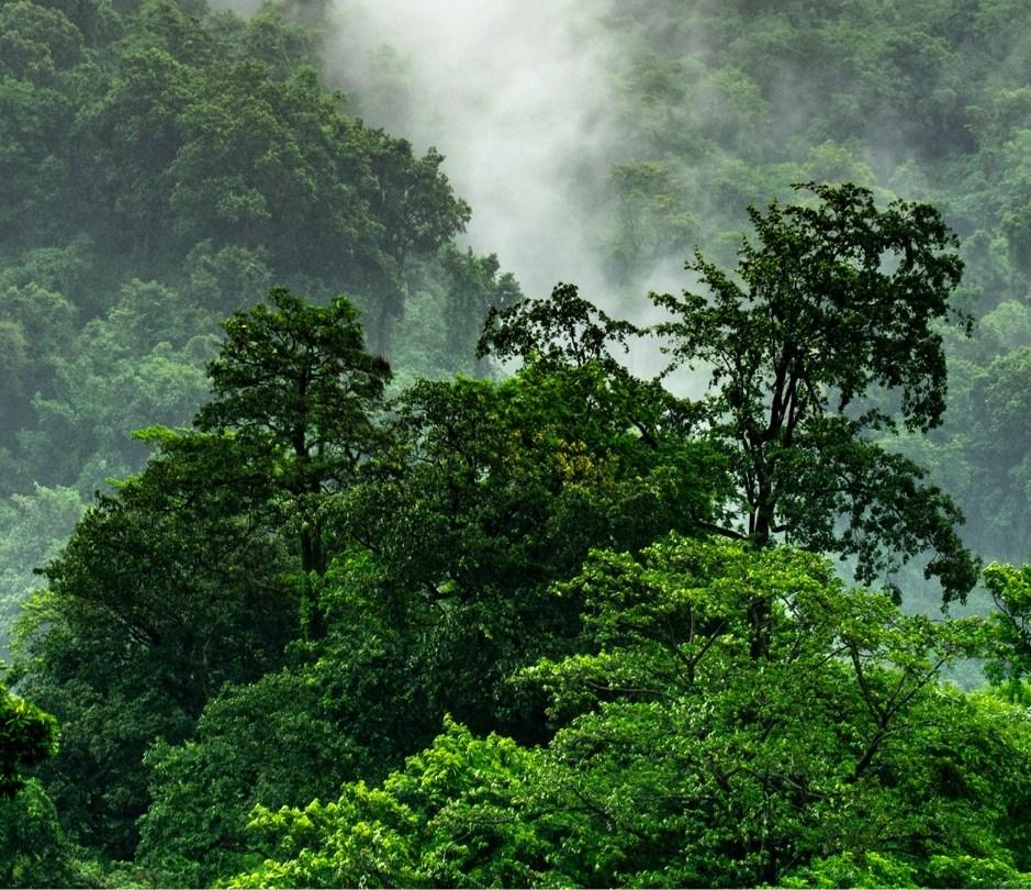 Gamme compléments alimentaires bio et naturel